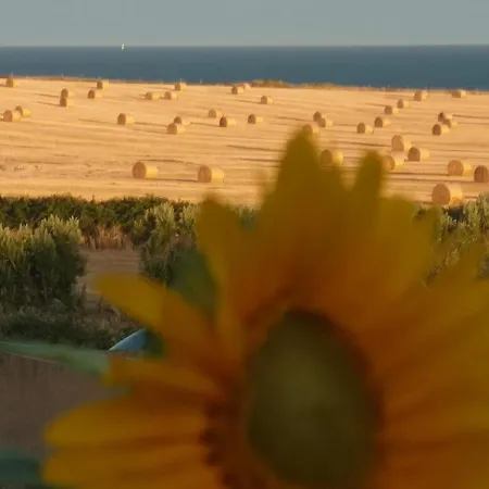 Sunriseview *