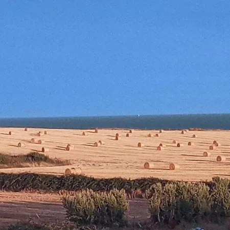 Sunriseview
