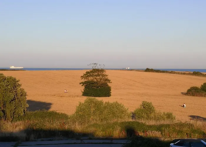 Sunriseview Виклоу